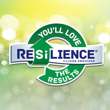 Survol des résultats avec RESiLIENCE®