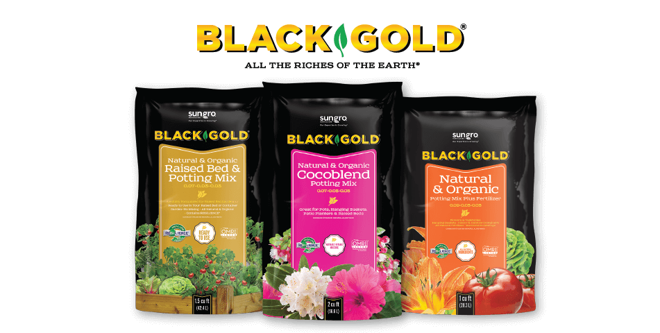 Blackgold-Bags_Cultivation_951x480_US