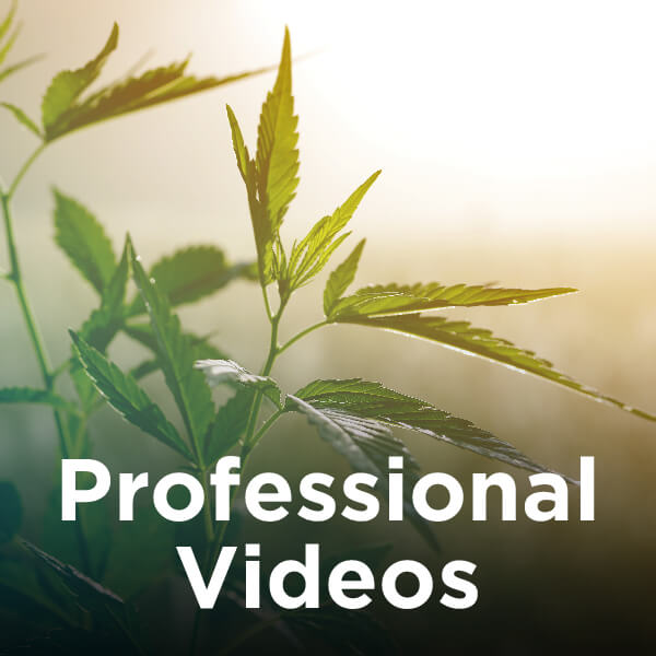 Professional Videos 600x600
